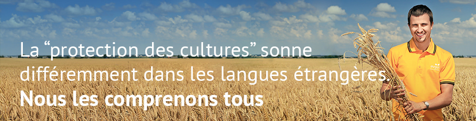 Protection sounds different in foreign languages.We understand them all
