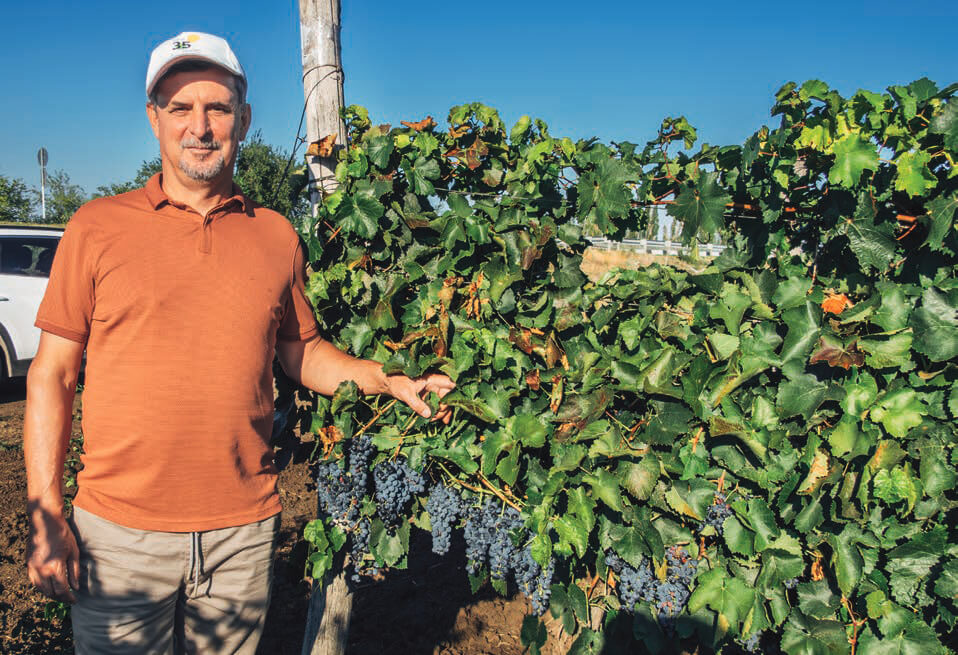 Н. В. Молчанов Н. В. Молчанов