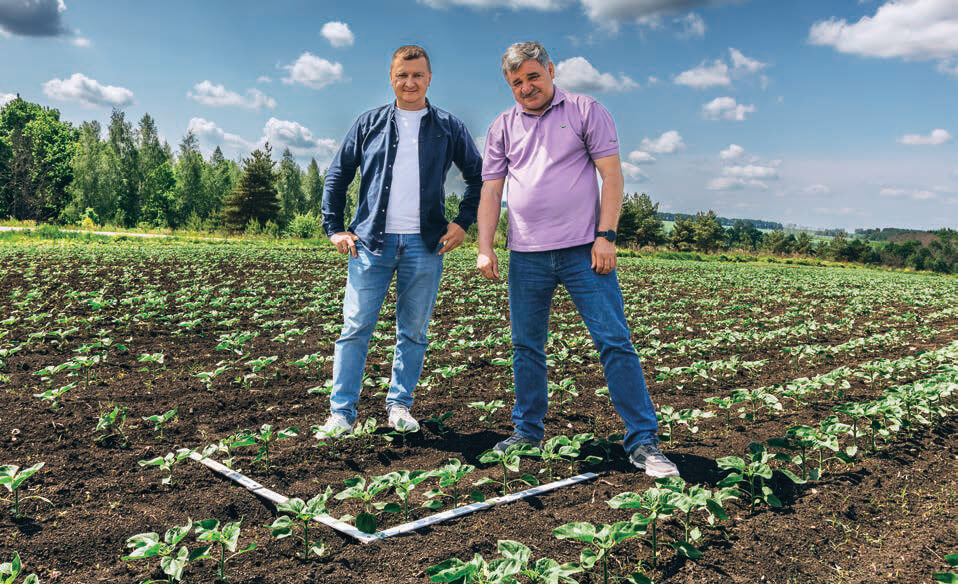 С. В. Лосев (справа) и Е. В. Сопин на поле подсолнечника
