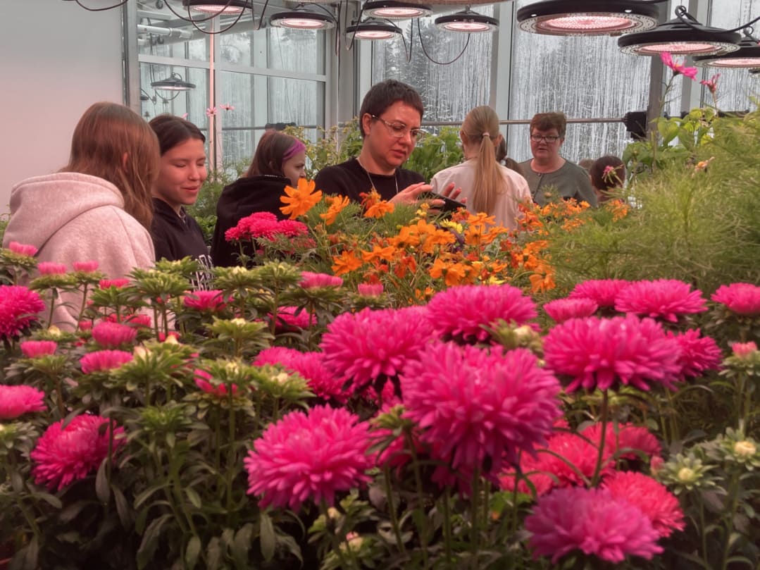 В комплексе «Биотрон» вовсю цветут астры… В комплексе «Биотрон» вовсю цветут астры…