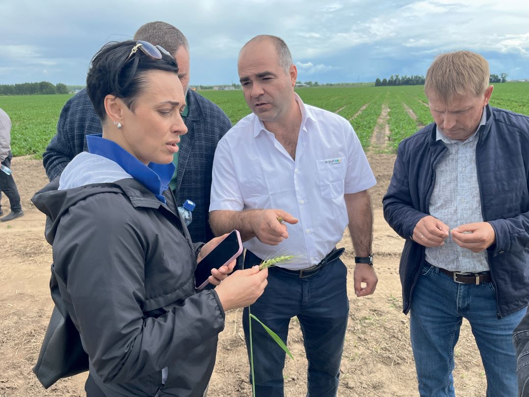 На демонстрационном участке агрофирмы «Искра»