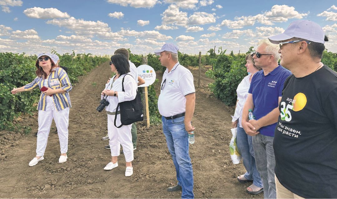 Посещение виноградника