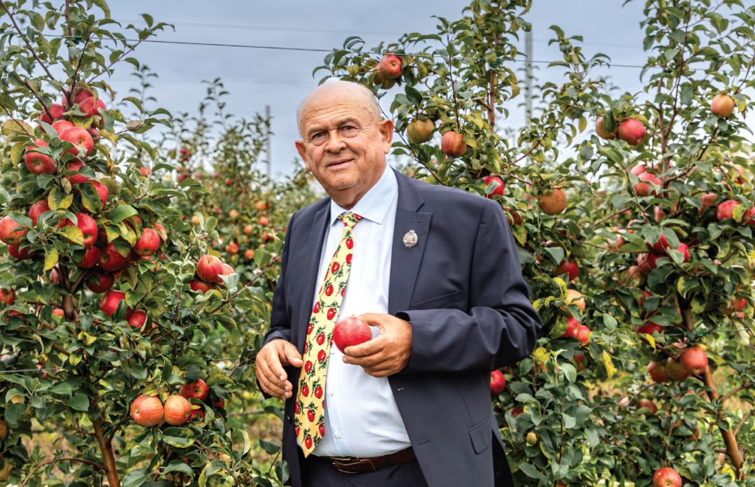 И. В. Муханин в садах «СадМашСервис», сорт Хонейкрисп