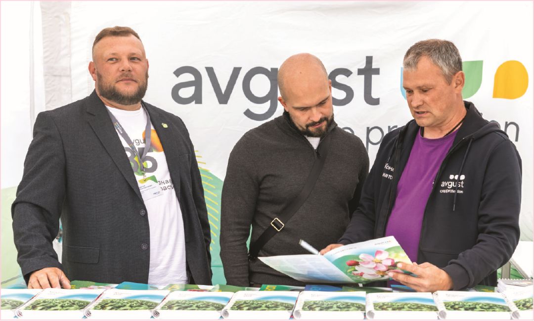 Консультации партнеров «Августа»