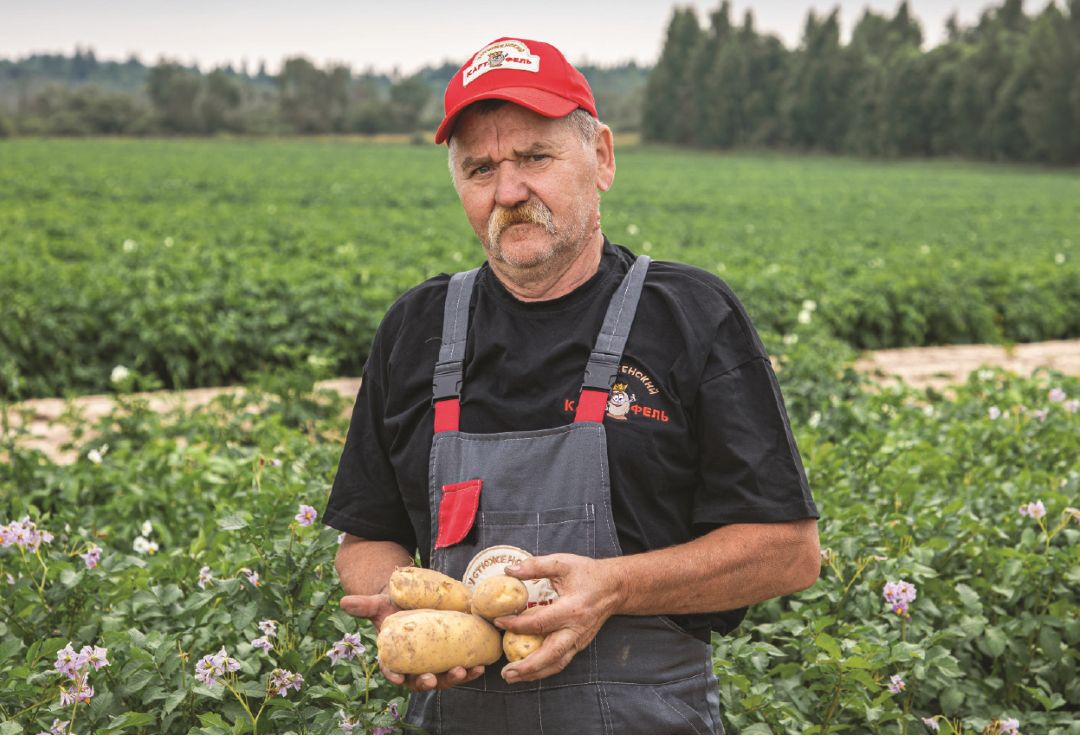 А. Кузнецов с картофелем сорта Гренадер