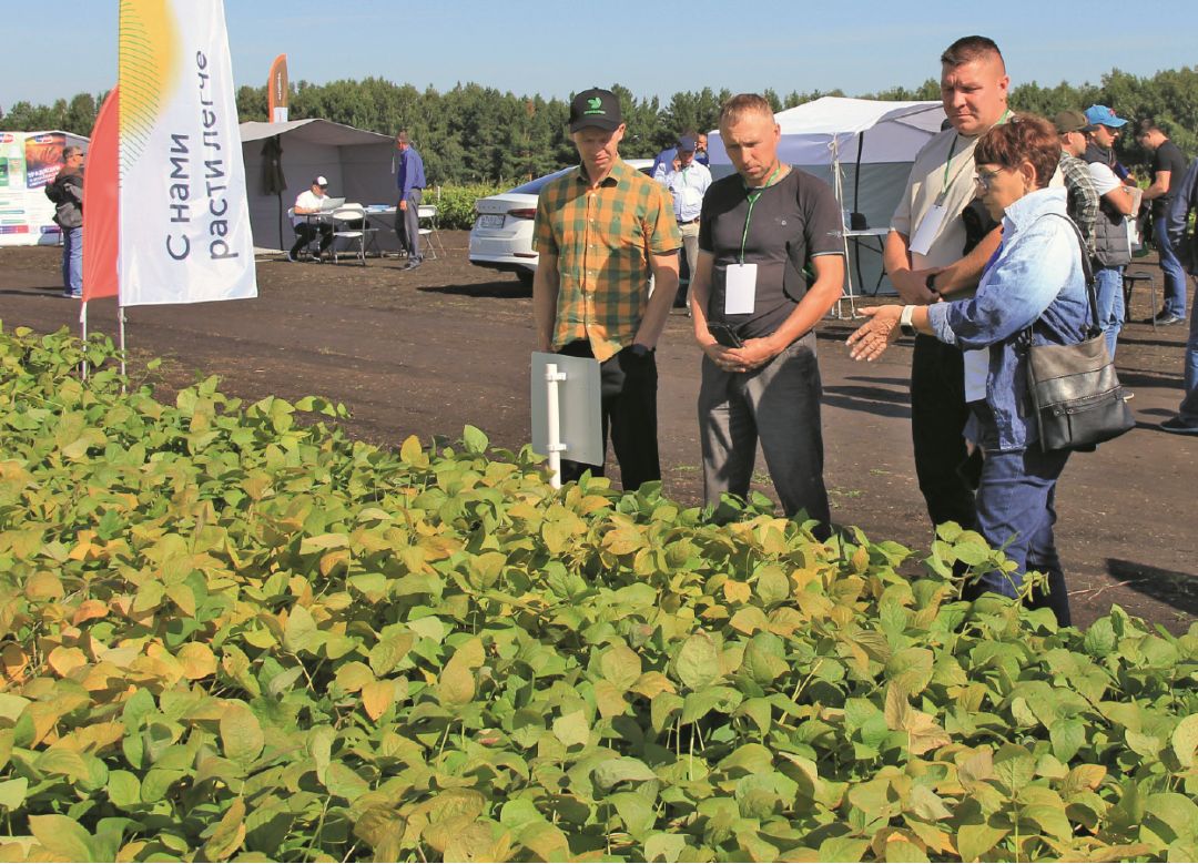 Делянки под защитой «Августа»