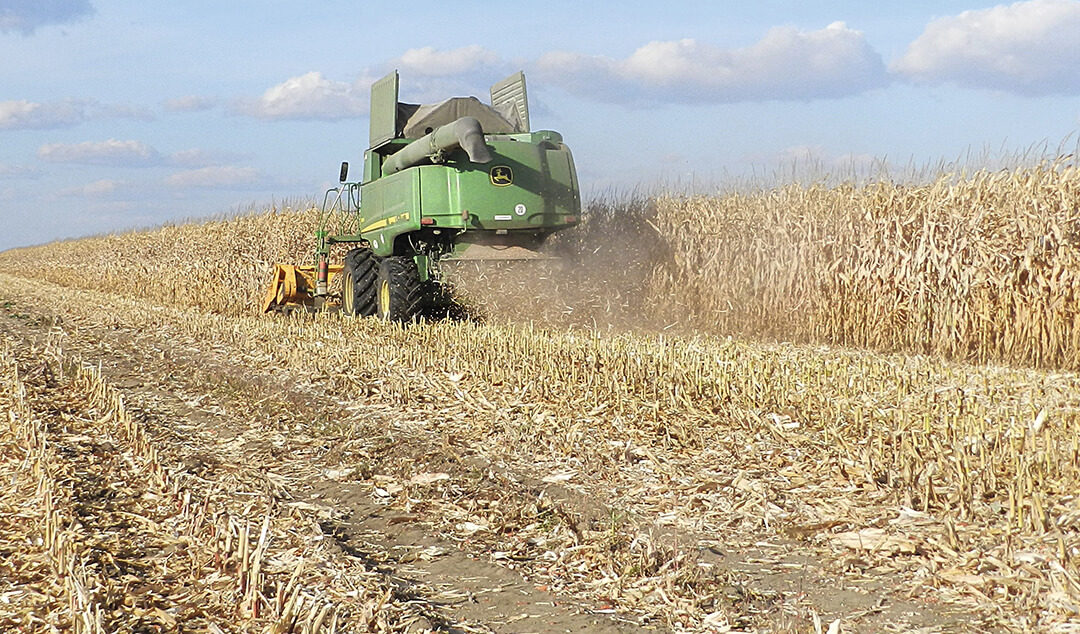 Уборка кукурузы в Херсонской области, Украина 