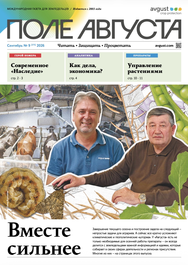 Газета «Поле Августа»