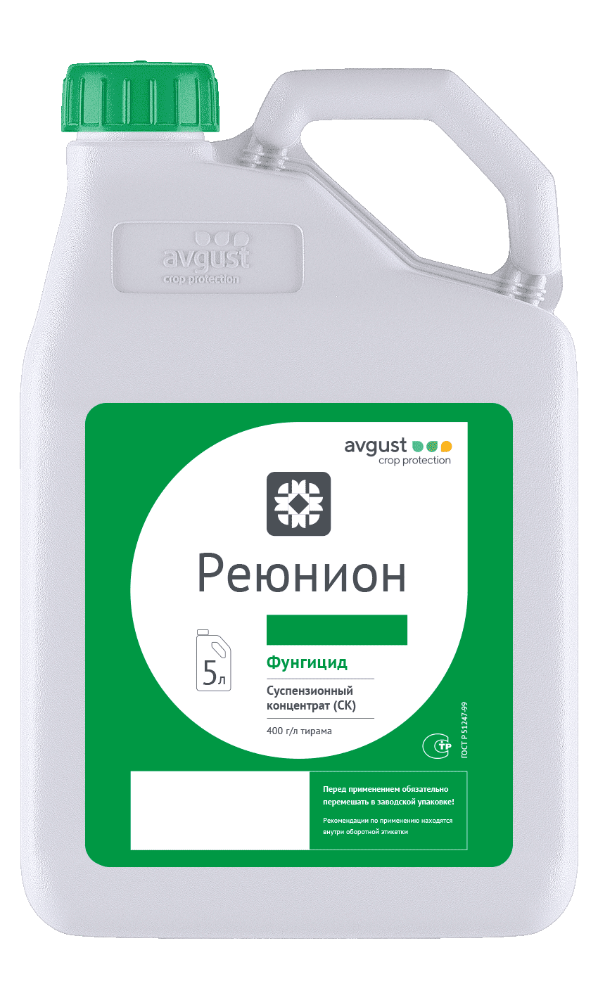 НордСтрим