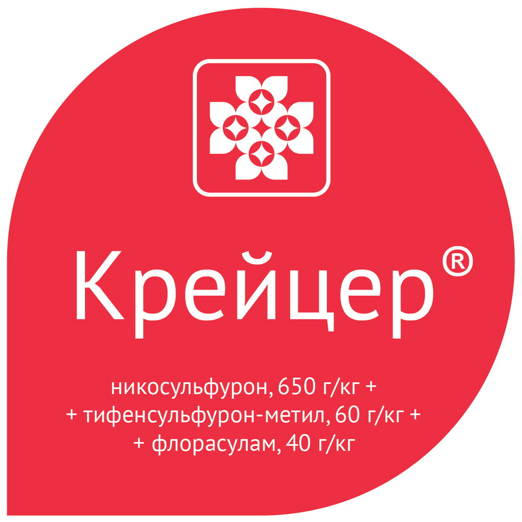 Новый гербицид на кукурузу – Крейцер®