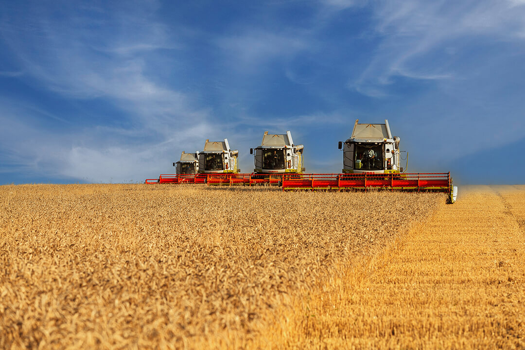 С Днем работника сельского хозяйства и перерабатывающей промышленности