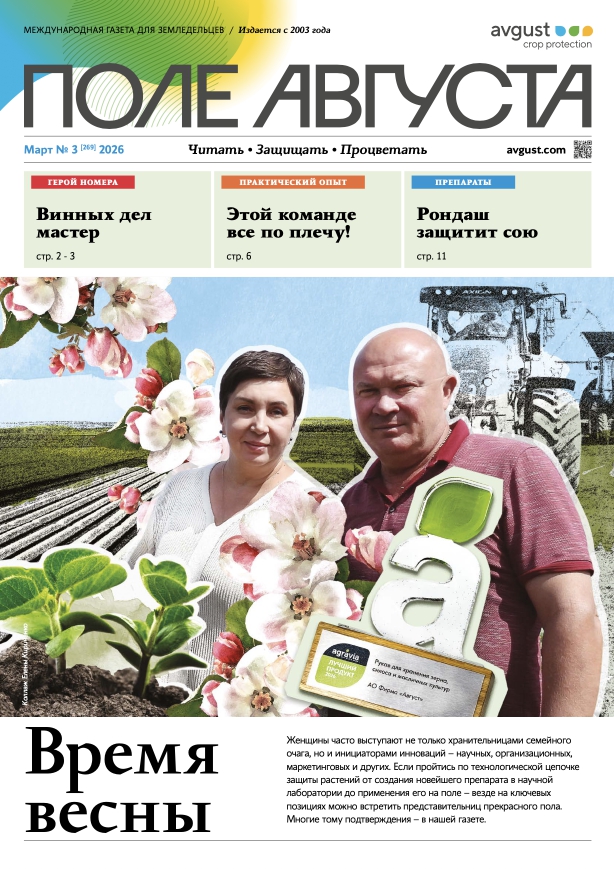 Газета «Поле Августа»