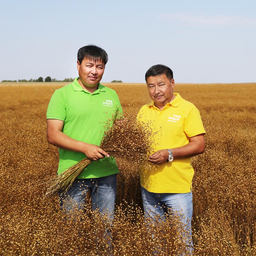 «Август» – лидер рынка ХСЗР Казахстана!