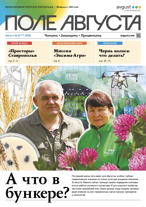 Газета «Поле Августа»