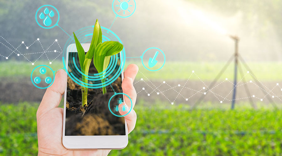 В Минпромторге России высоко оценили уровень цифровизации компании «Август»