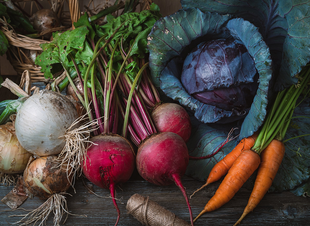 Эксперты «Августа» рассказали о защите овощей из «борщевого набора» и новом урожае