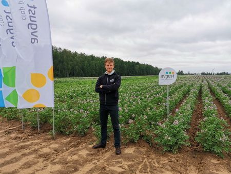 Как защитить картофель от болезней и вредителей