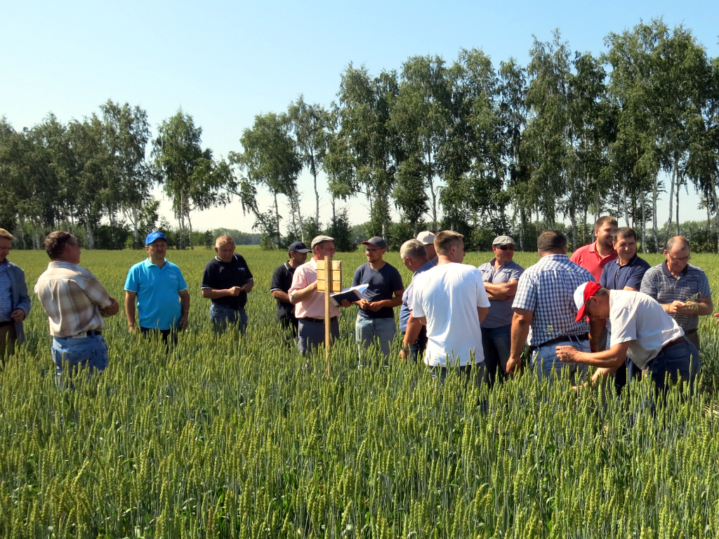 Омск: День поля в «Иртышском» 