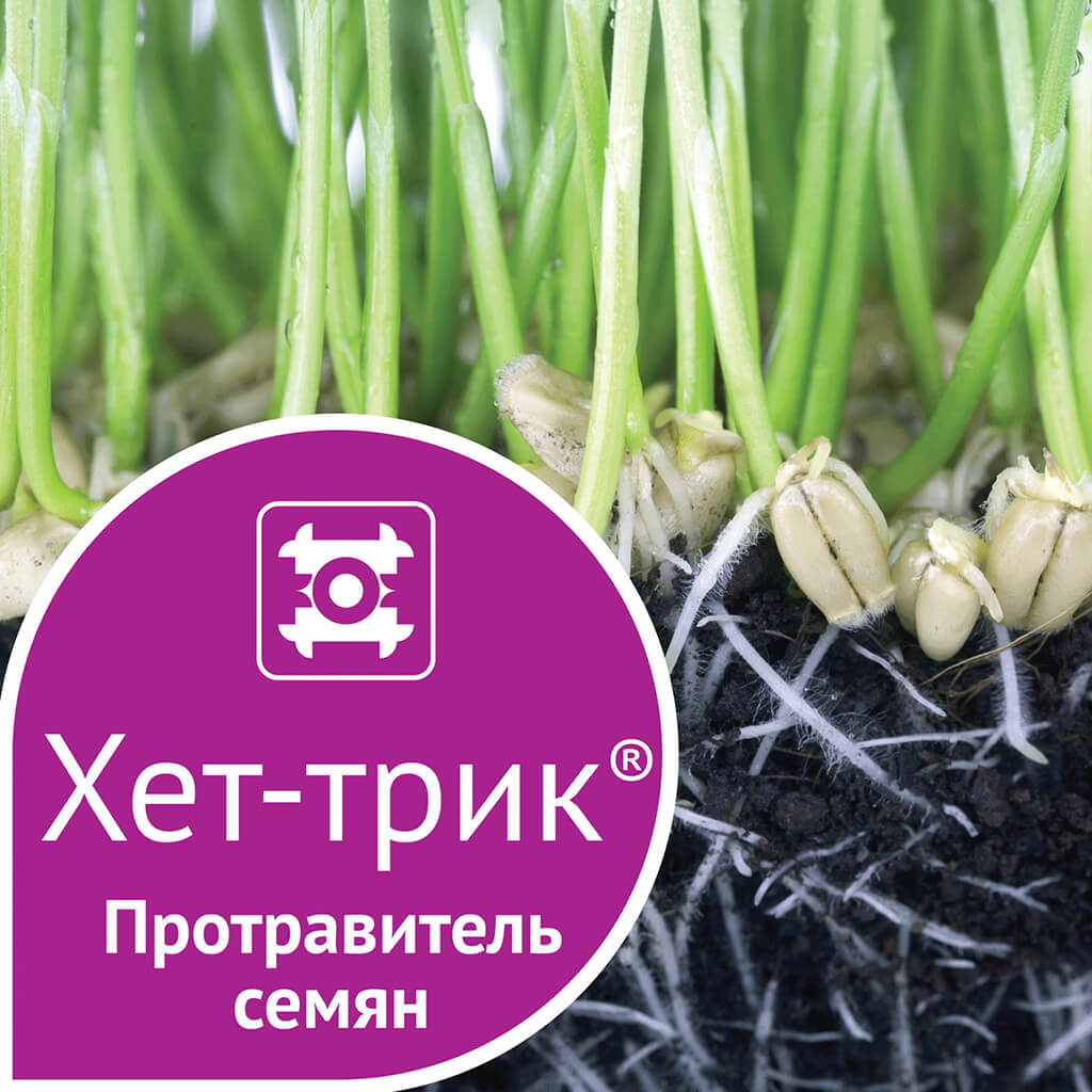 Зарегистрирован инсектицидно-фунгицидный протравитель семян Хет-Трик®!