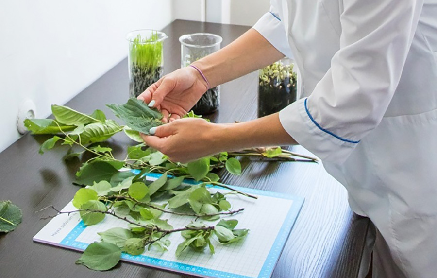 Новая агролаборатория «Августа» поможет земледельцам Ставрополья увеличить урожаи