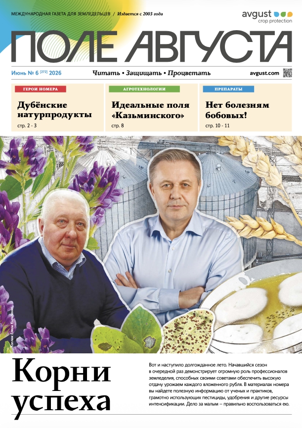 Газета «Поле Августа»