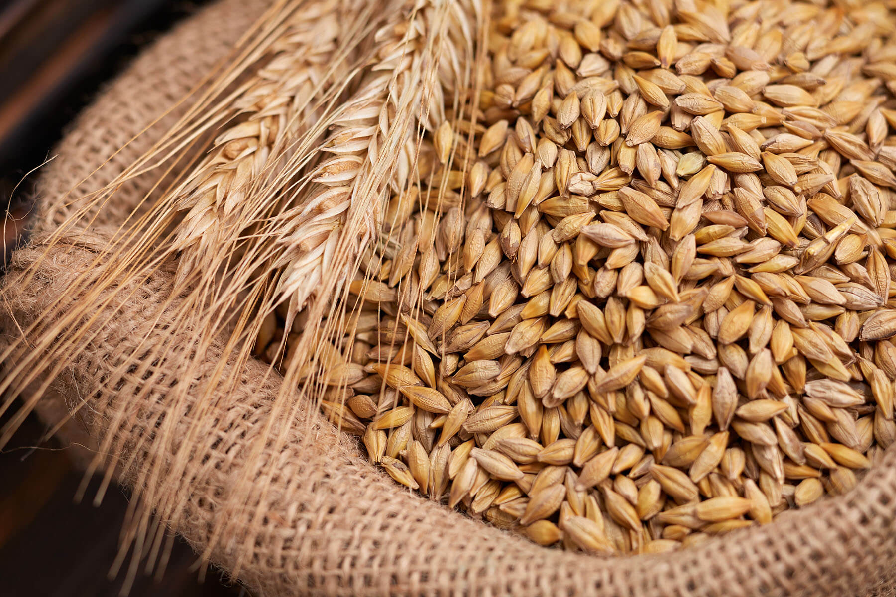 Агрохолдинг «Август-Агро» стал лидером по объему урожая зерновых в Татарстане