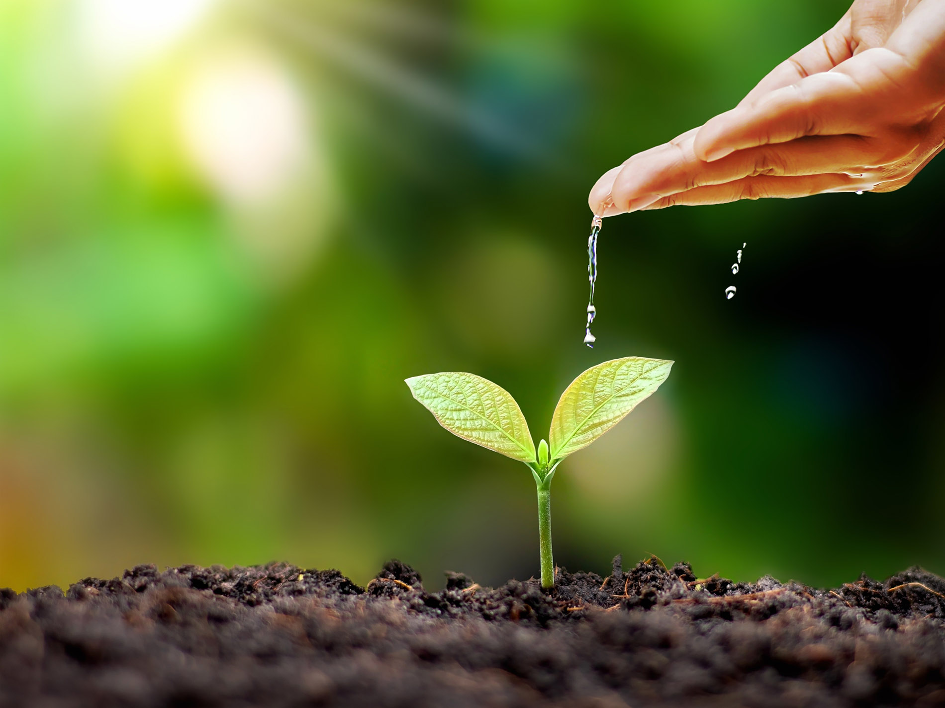 «Август» наращивает производство биопрепаратов и расширяет исследовательскую деятельность в области биозащиты