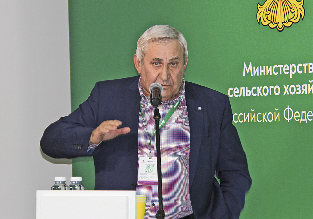 О картофеле