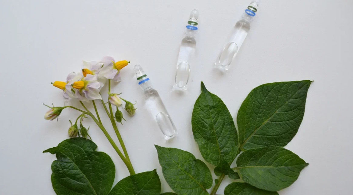 «7 из 10 человек знают, что это подделка, – и все равно используют»: на рынке пестицидов для садоводов и огородников растет объем контрафакта