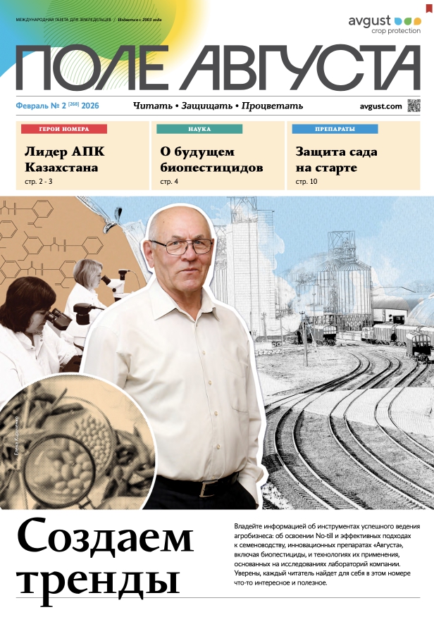 Газета «Поле Августа»