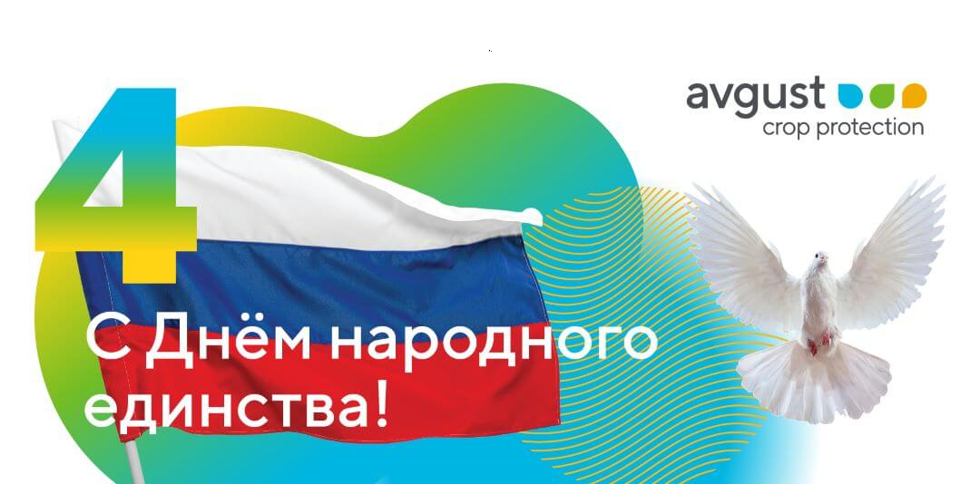 С Днем народного единства!