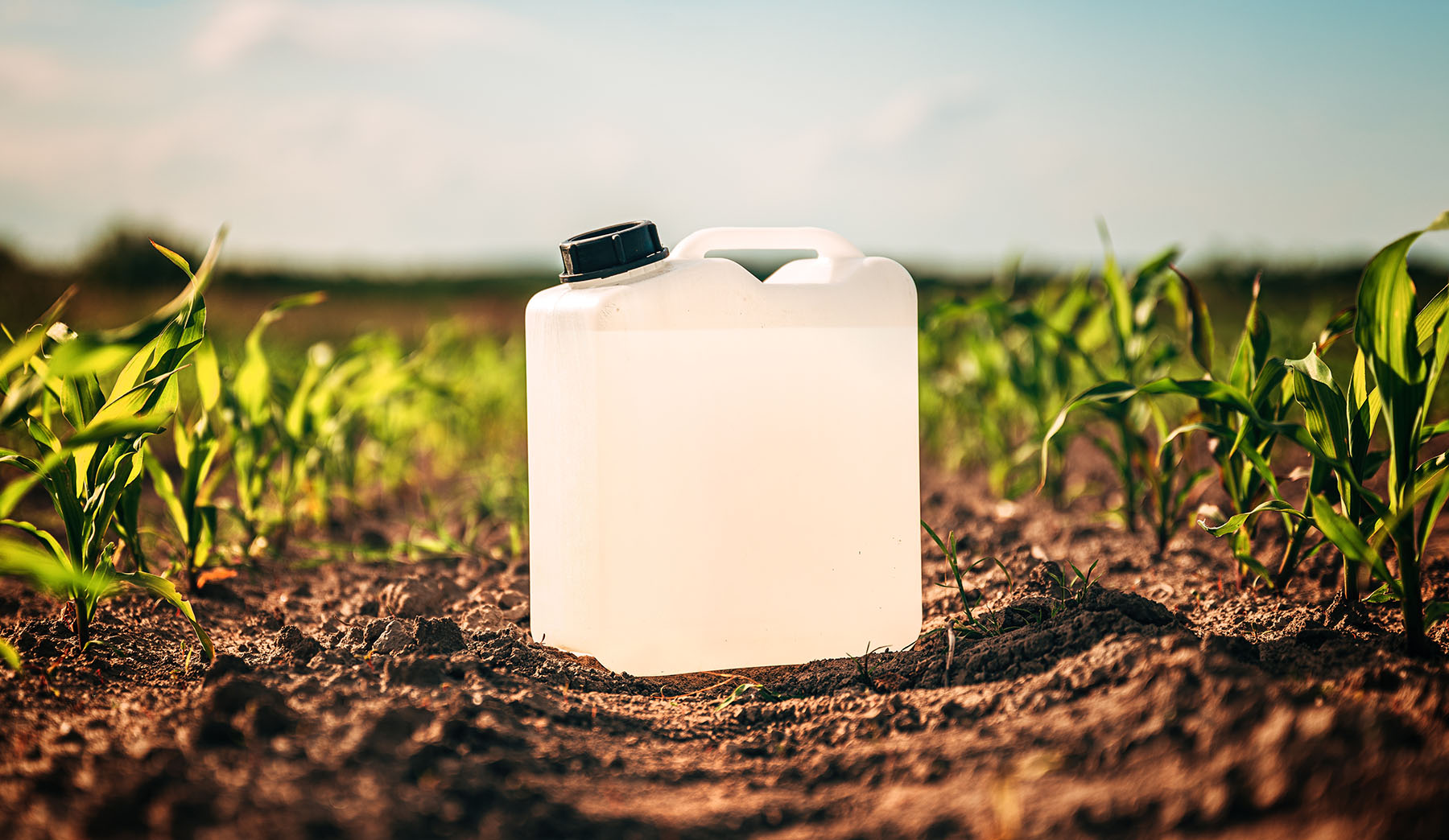 В Сибири расширяется теневой рынок пестицидов