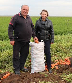 «Наша морковь самая вкусная»