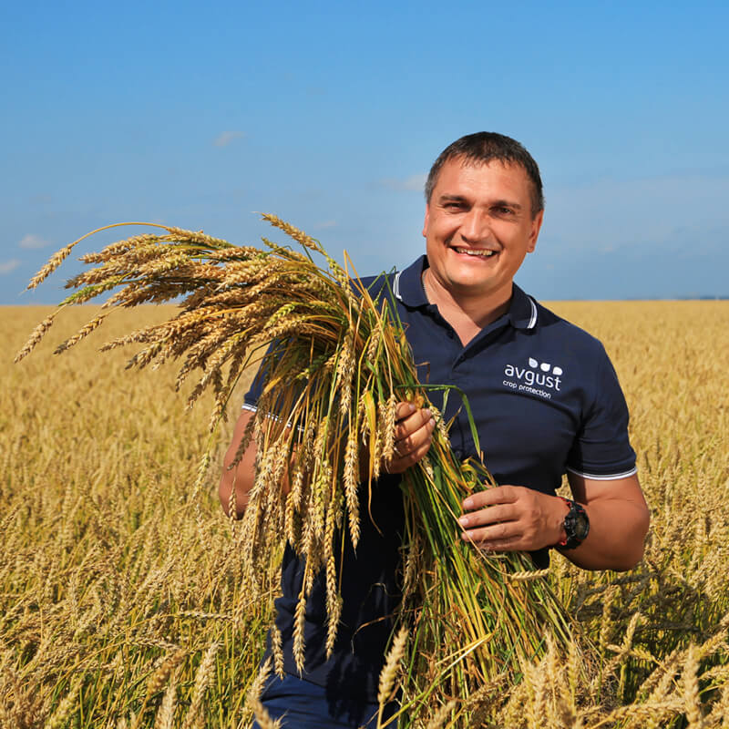 Расширена регистрация двух препаратов «Августа»!