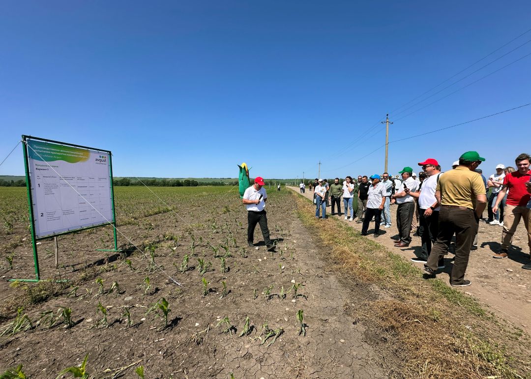 День поля «Августа» в КЧР