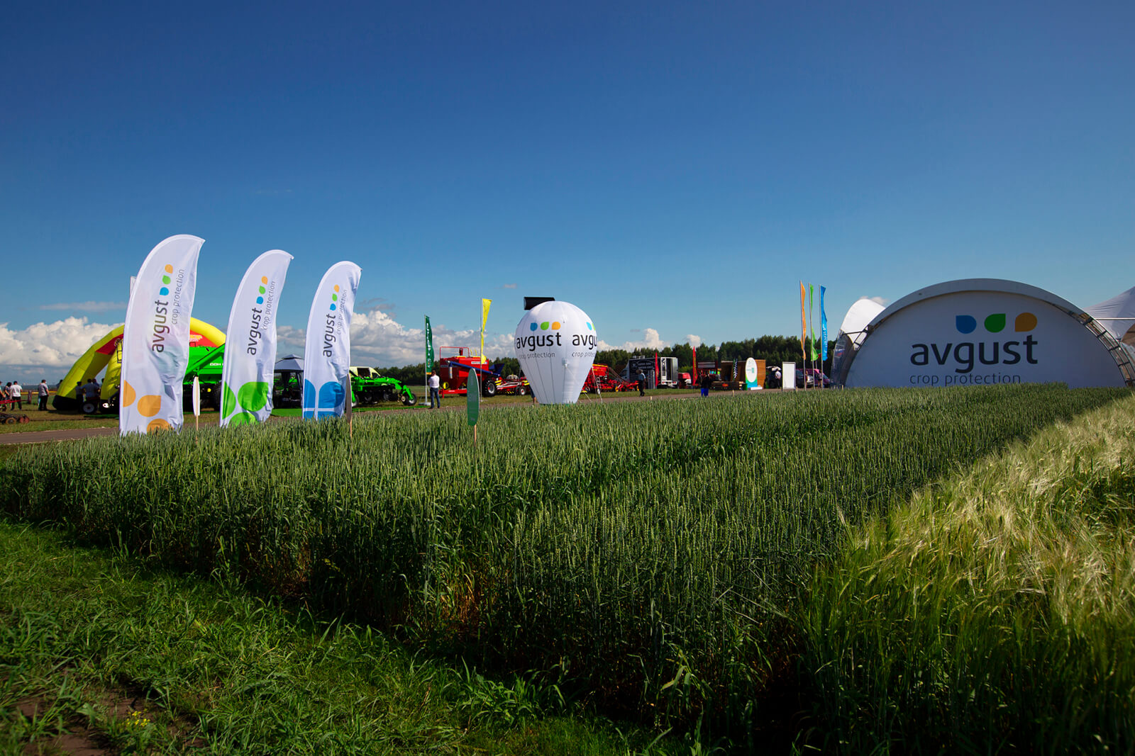 «Август» в 2023 году начал три новых крупных инвестиционных проекта