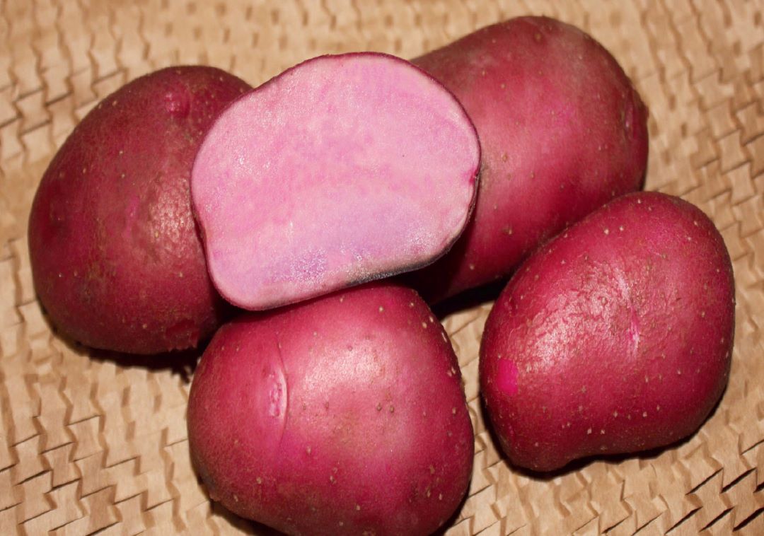 Наш картофель