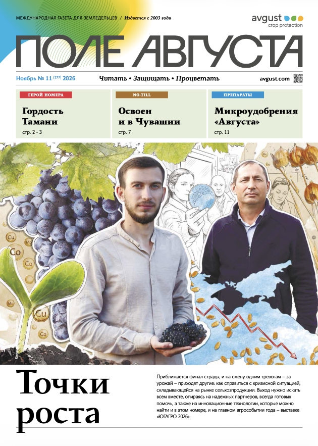 Газета «Поле Августа»