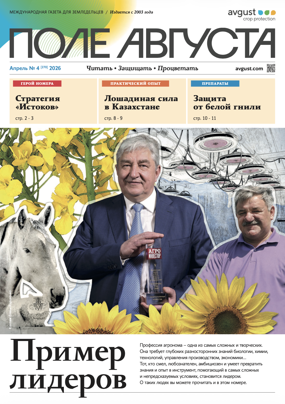 Газета «Поле Августа»