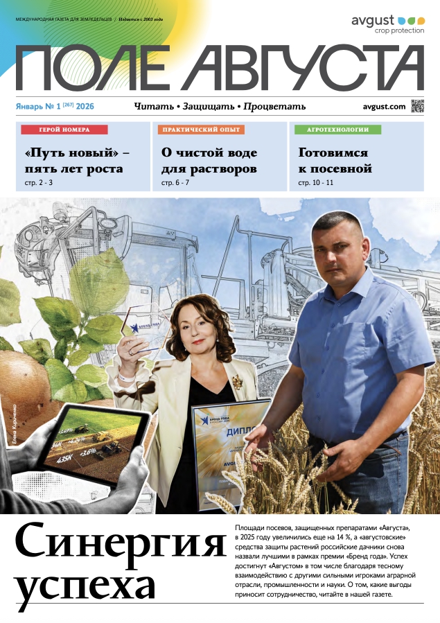 Газета «Поле Августа»