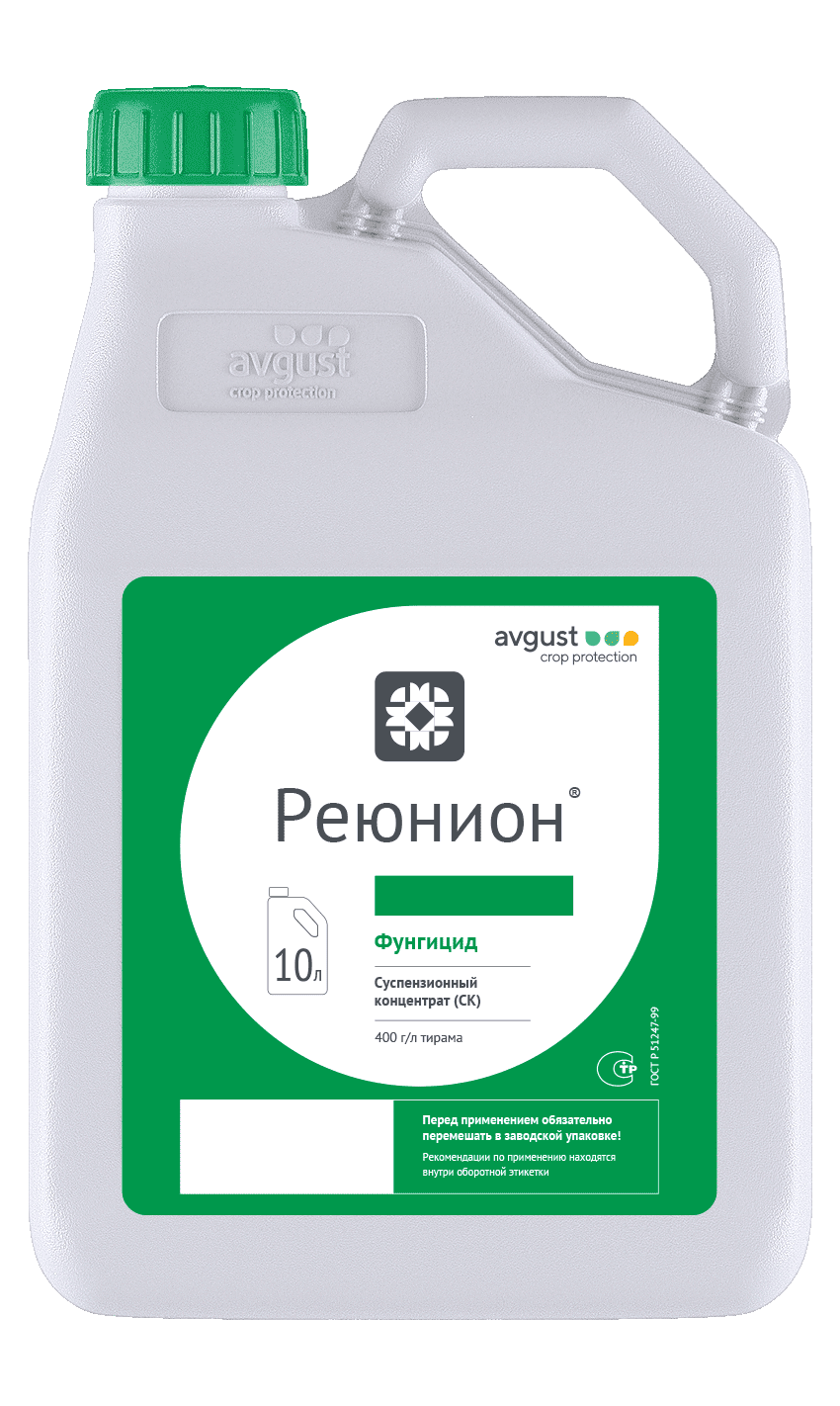 Реюнион