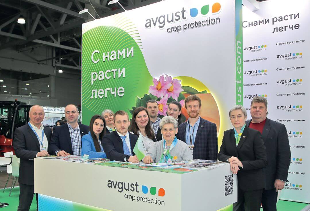 Акцент на картофель