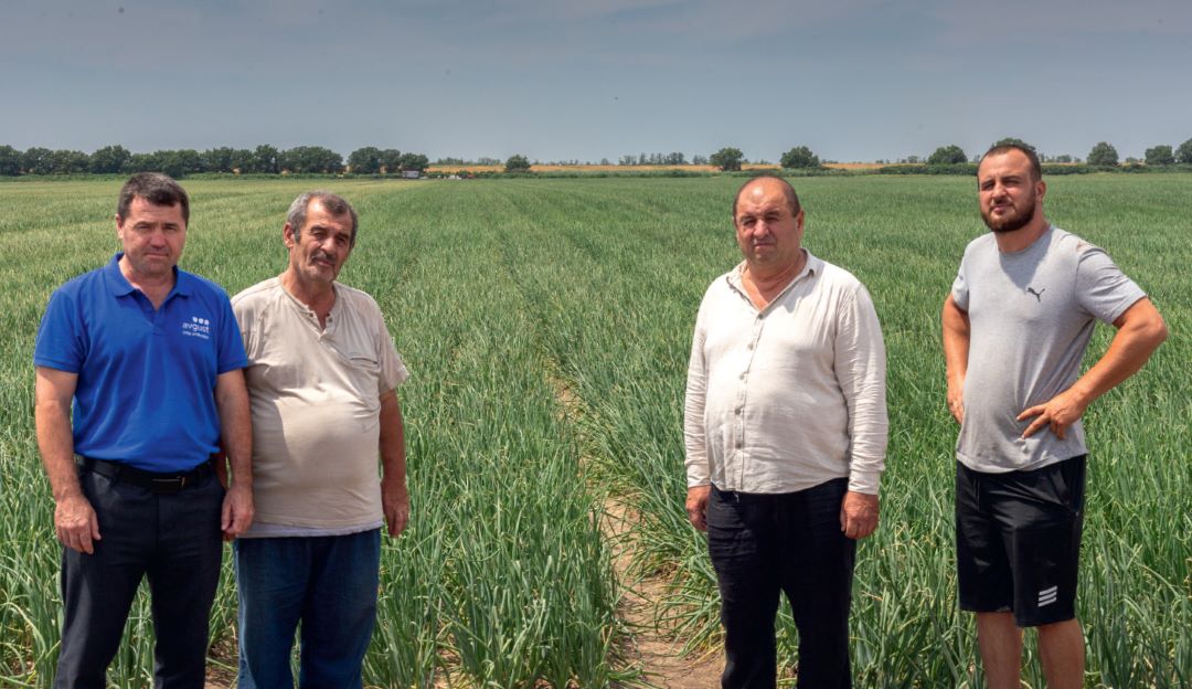 Лук с турецким акцентом